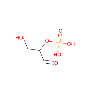 glyceraldehyde phosphate